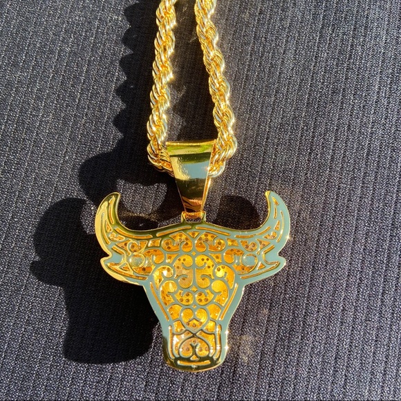 Gold Chain Rope Chain and Icy Bull Pendant Set - Picture 6 of 10